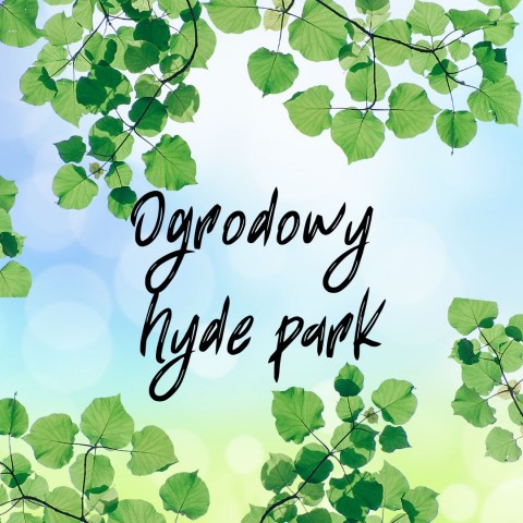 ogrodowy hyde park na niebieskim tle zielone liście